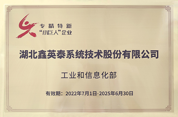 國家級專精特新小巨人企業